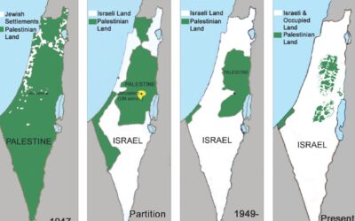 Palestine 101