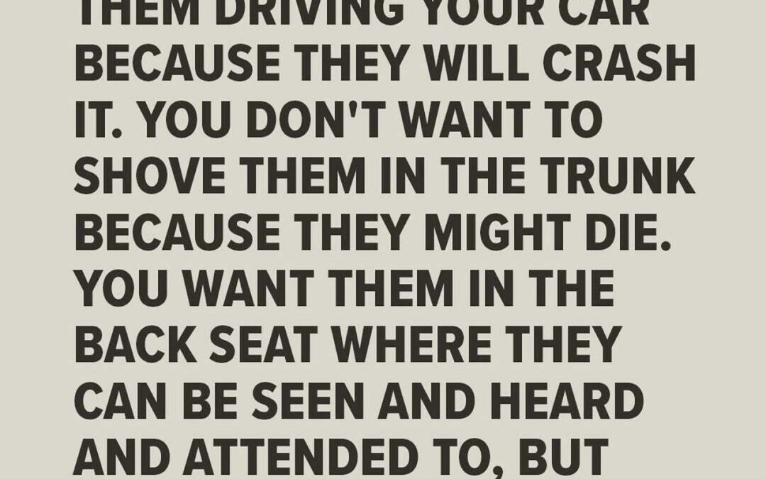 Emotions: Backseat, Not the Pilot