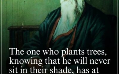 Plant the Seed, Trust the Growth