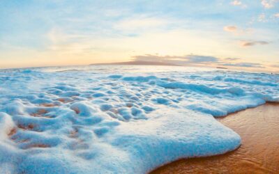 BIGS: My Temple of Truth