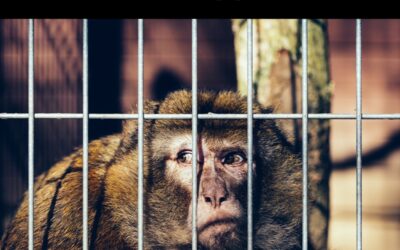 Caged Minds, Caged Lives