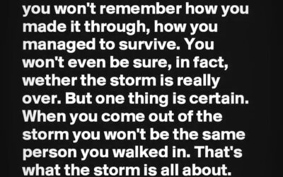 Why I Write About Narcissism, Healing, and Truth