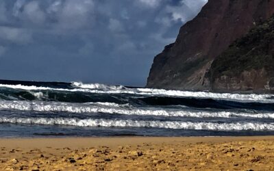 When the Voice of Truth Speaks Louder Than the Lies