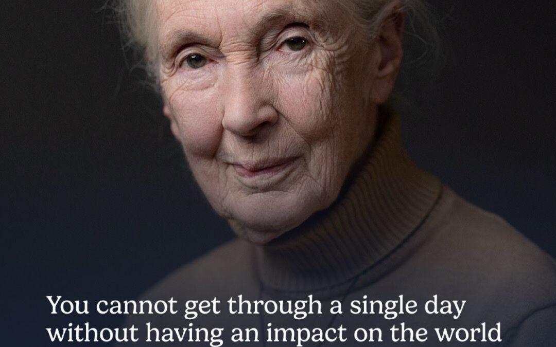 Presence is revolution